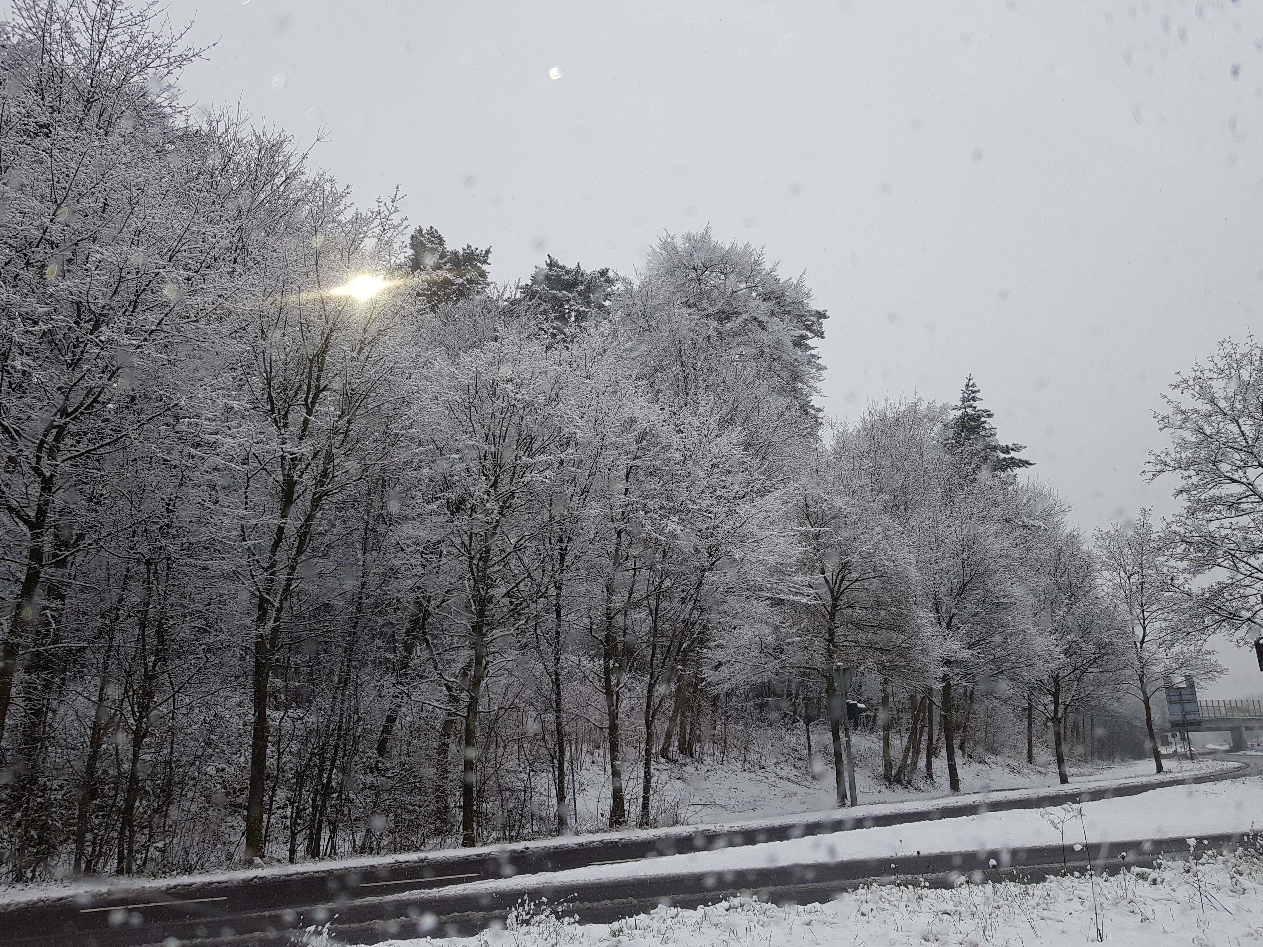 Refrath gestern und es wurde schlimmer